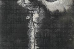 Darkness-65-x-35-cm-Tusche-auf-Xuanpapier-auf-Leinwand-2014