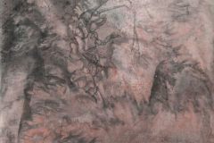 Flohkrebs-67-x-34-cm-Tusche-auf-Xuanpapier-auf-Leinwand-2014
