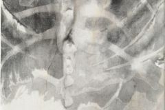 Home-of-the-Heart-51-x-32-cm-Tusche-auf-Xuanpapier-auf-Leinwand-2014
