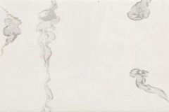 Quallen-68-x-1230-cm-Tusche-auf-Xuanpapier-auf-Leinwand-2014