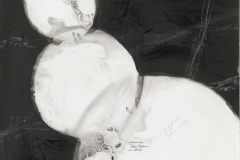 Aus-dem-Leben-einer-Forscherin_-Fast-102-x-72-cm-Tusche-und-Graphit-auf-Steinpapier-2017.jpeg