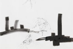 Crabcity-72-x-102-cm-Tusche-und-Bleistift-auf-Steinpapier-2016.jpeg
