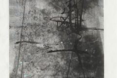 Schilfspiegelung-119-x-45-cm-Tusche-auf-Xuanpapier-2015.jpeg