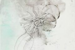 Sehnsucht-102-x-72-cm-Tusche-und-Graphit-auf-Steinpapier-2017.jpeg