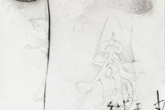 Weil-ein-bisschen-will-ich_s-wissen-102-x-72-cm-Tusche-und-Graphit-auf-Steinpapier-2017.jpeg